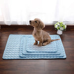 Dog Cooling Summer Pad