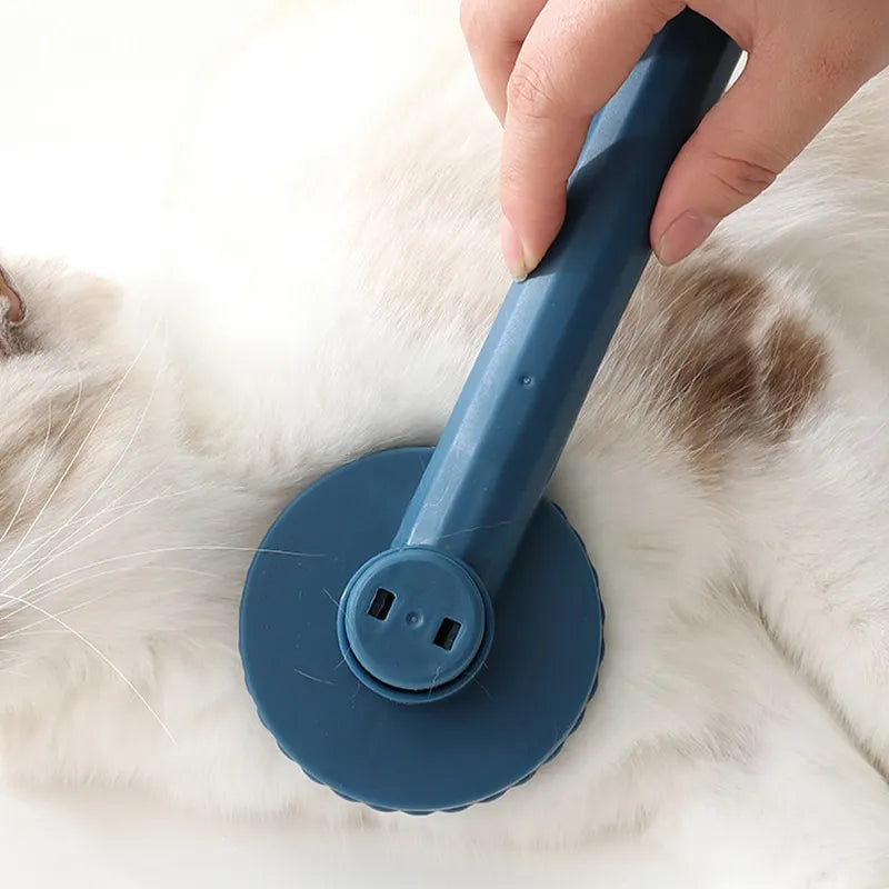 Hair Removal Brush