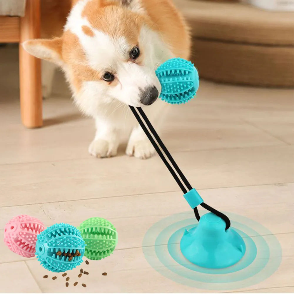 Interactive Food Dispenser Suction Cup