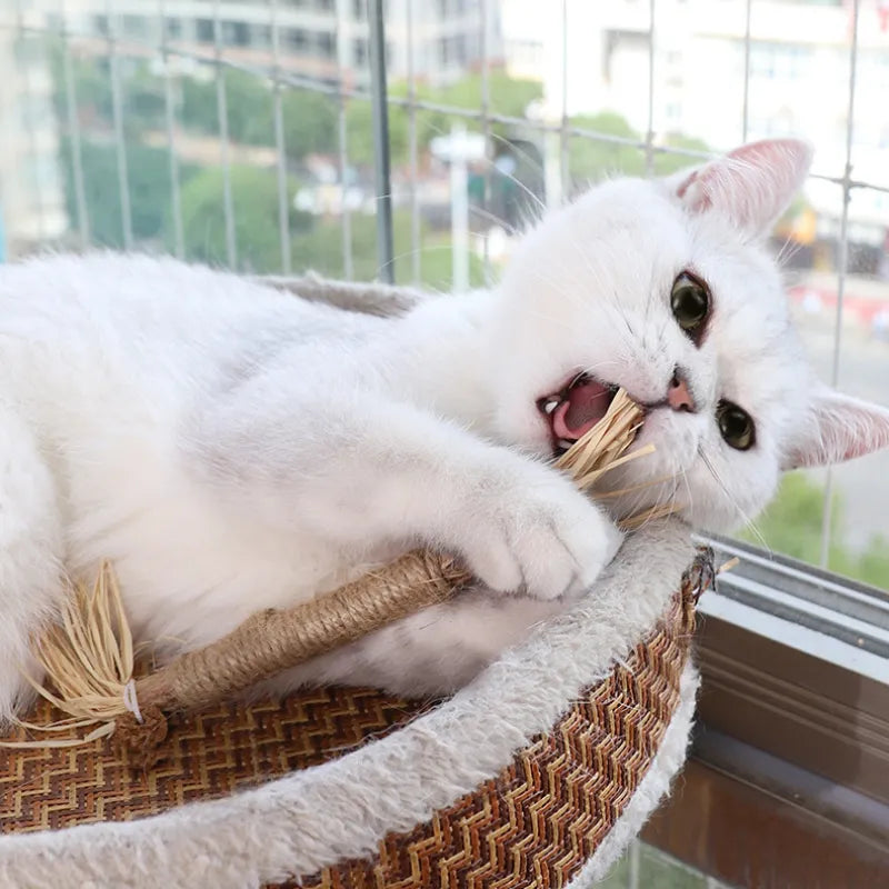 Silvervine Chew Stick with Catnip