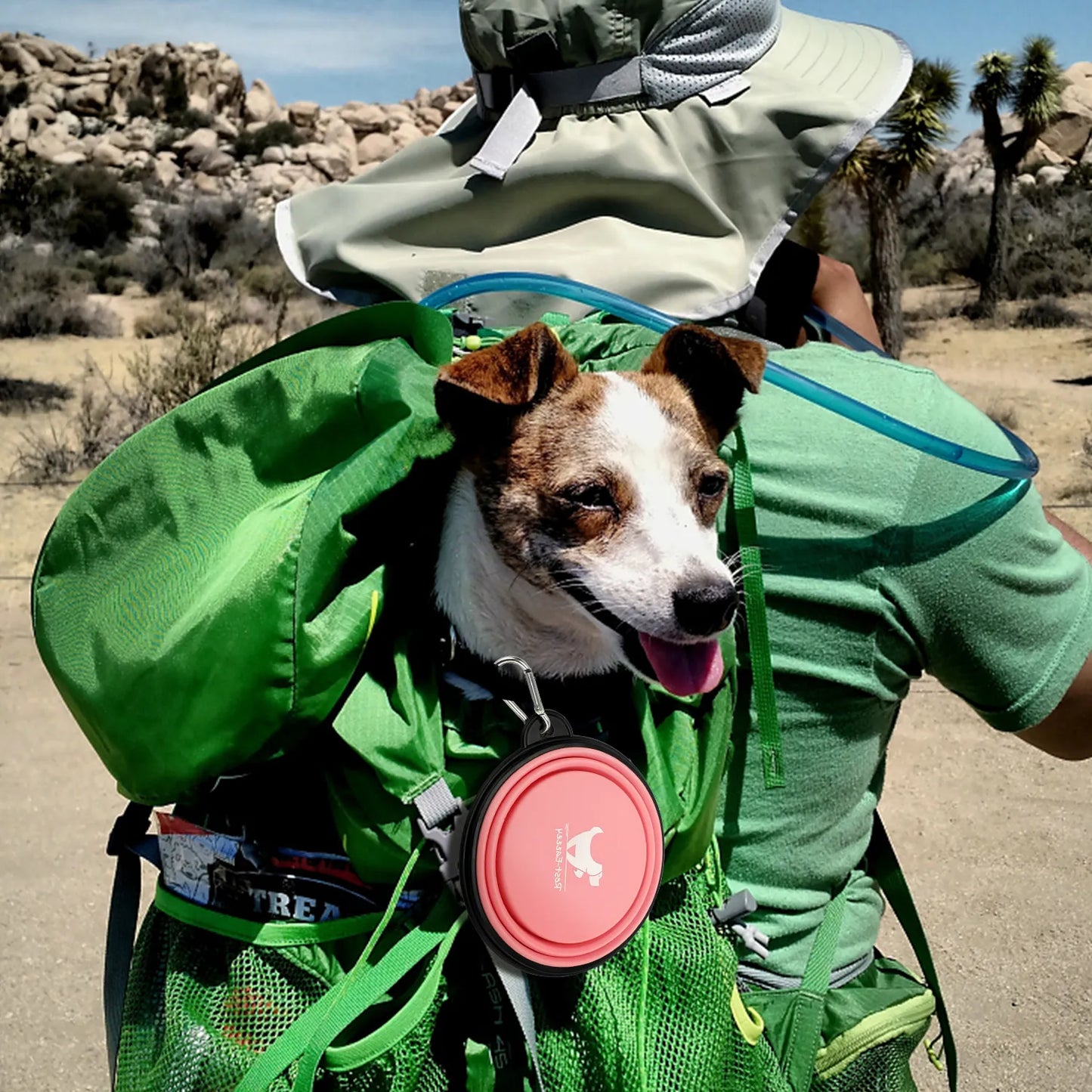 Collapsible Dog Travel Bowl