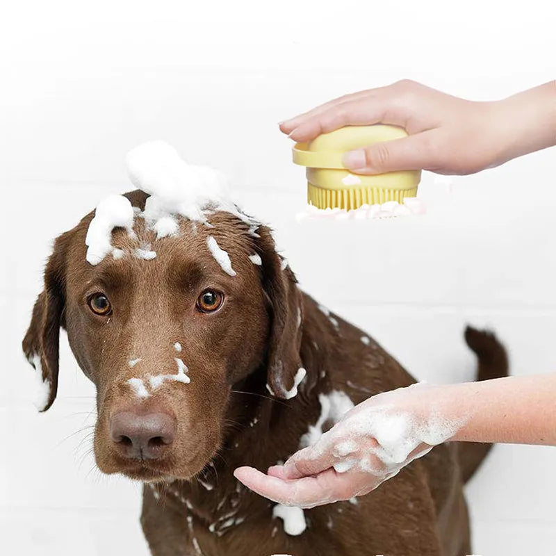 Bath Massage Brush