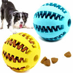 Chewy Teeth Cleaning Snack Ball