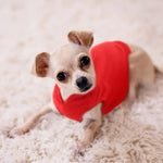 Soft Fleece Dog Coat