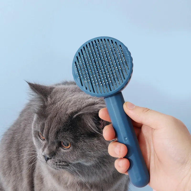 Hair Removal Brush