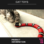 Interactive  Cat Teasering Eletronic Snake