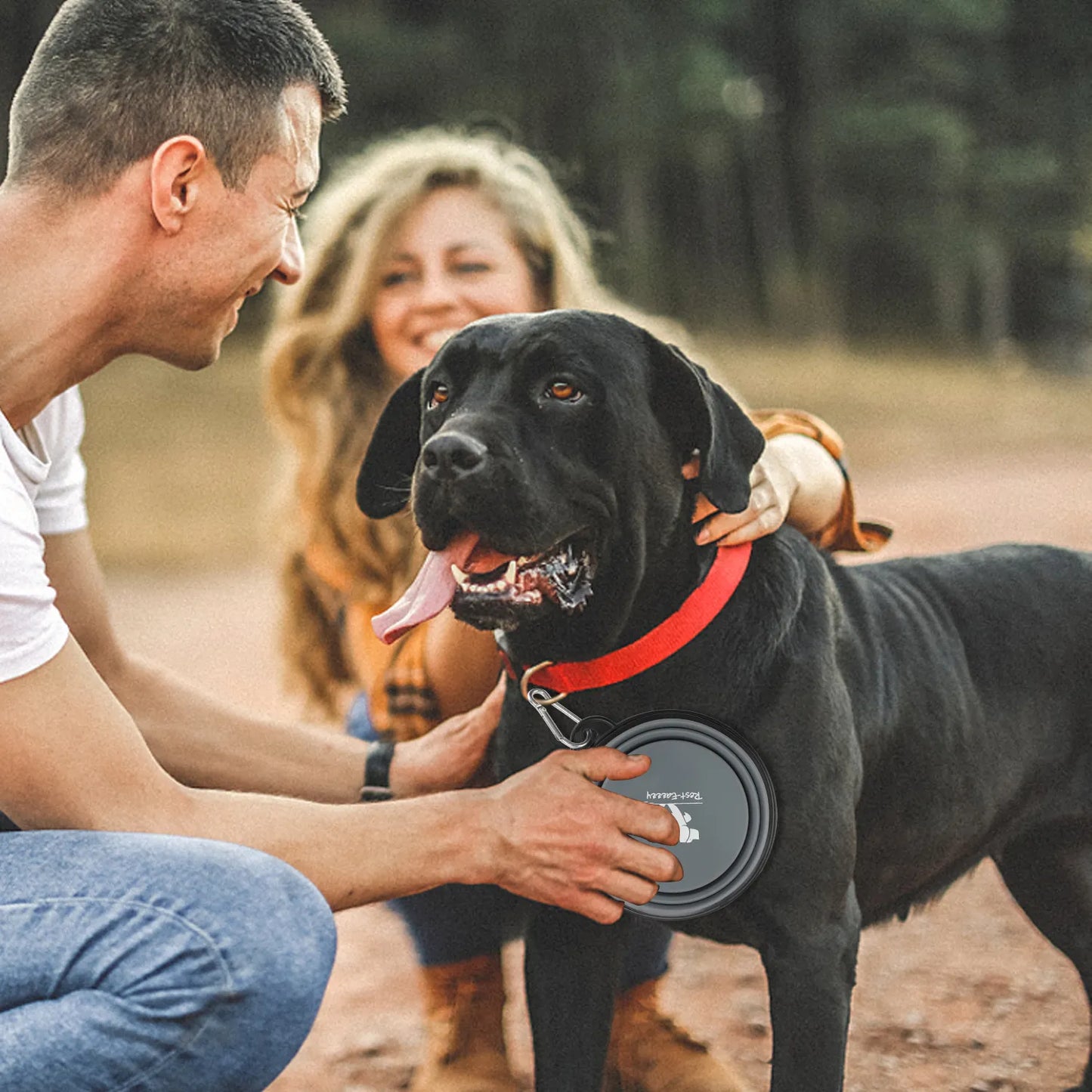 Collapsible Dog Travel Bowl