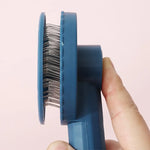 Hair Removal Brush