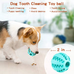 Chewy Teeth Cleaning Snack Ball